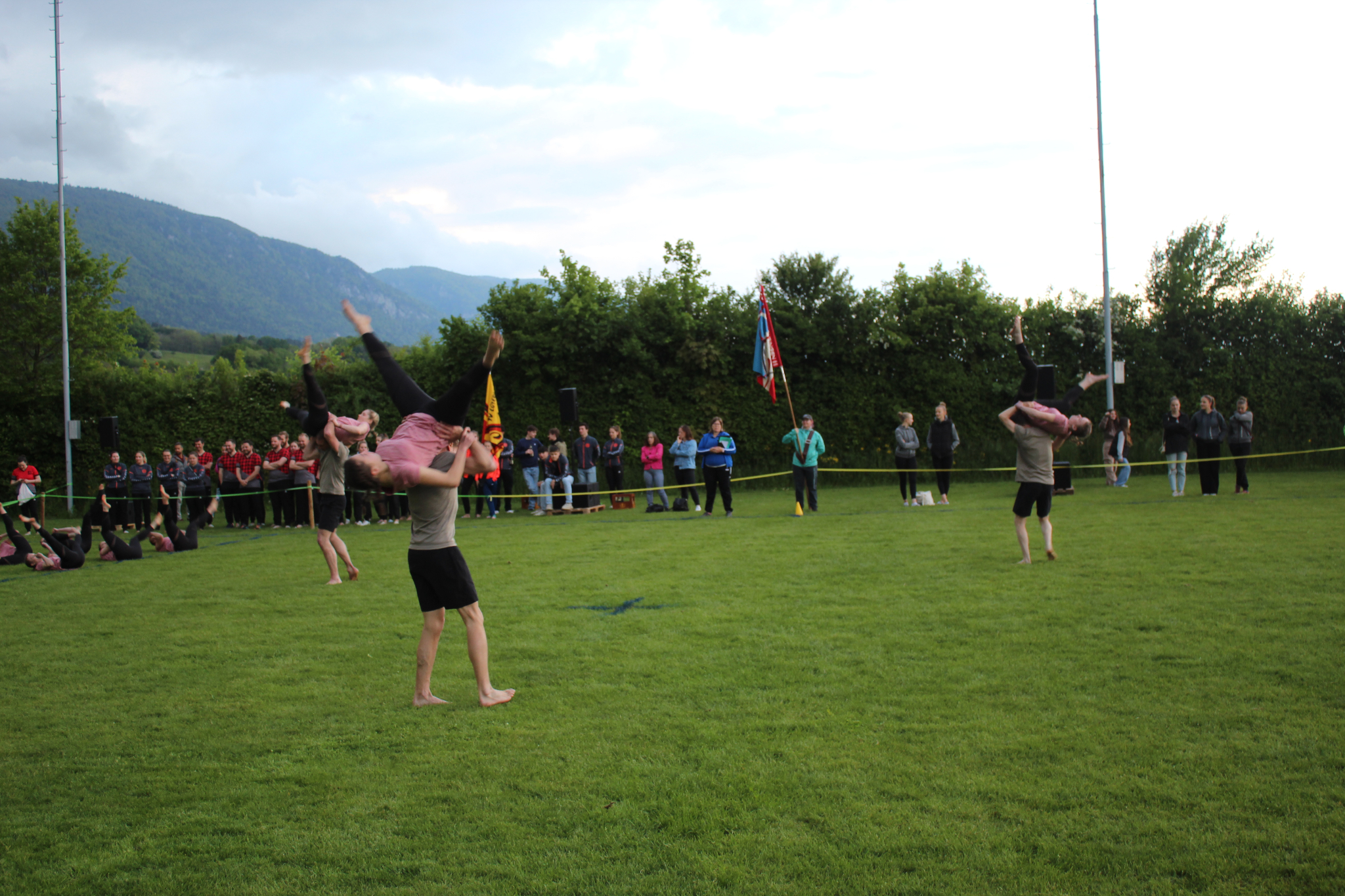 Bild (224)